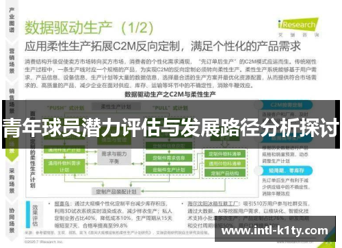 青年球员潜力评估与发展路径分析探讨